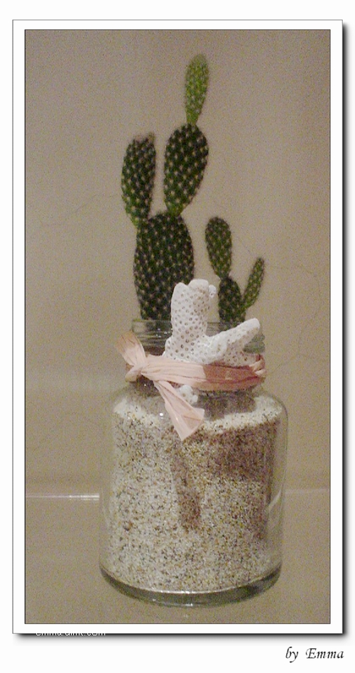 雞精瓶仙人掌小盆栽