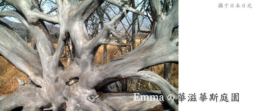 日光‧戰場之原