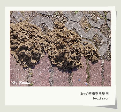 自行車步道@台北金山水尾