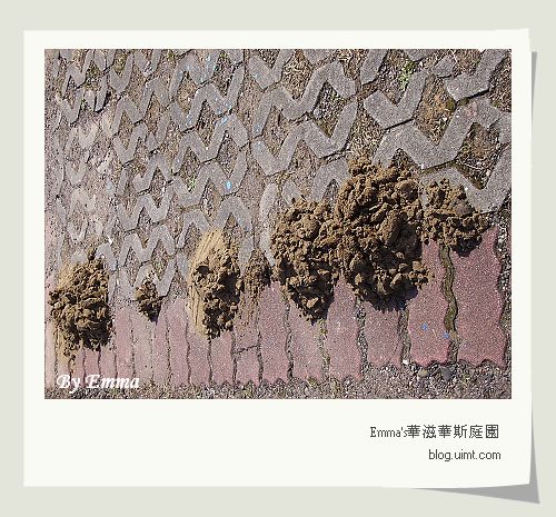 自行車步道@台北金山水尾