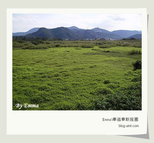 自行車步道@台北金山水尾