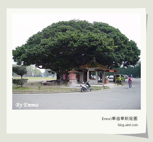 龍潭(原)石管局