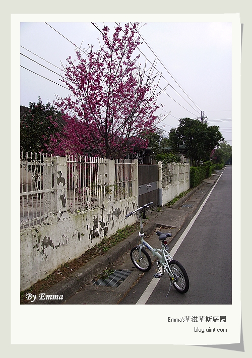 龍潭(原)石管局
