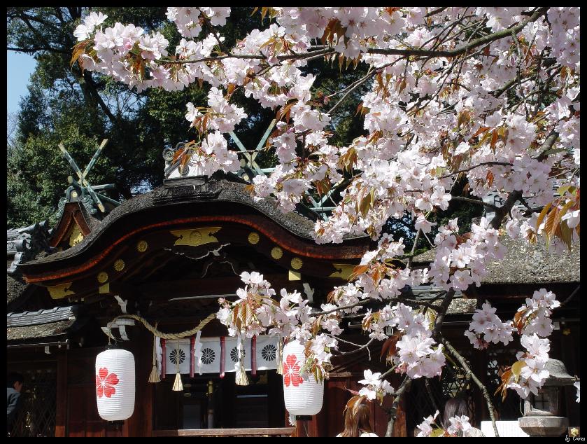 平野神社