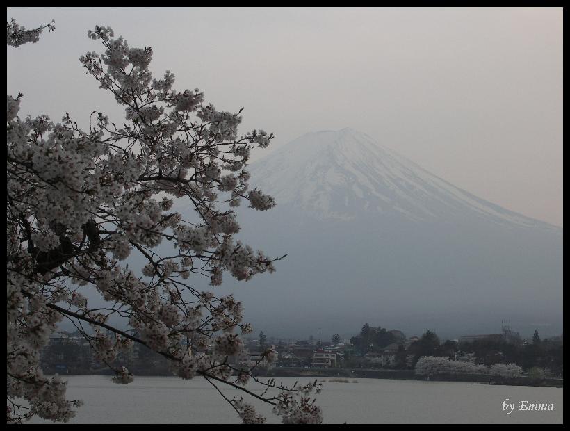 富士山及河口湖